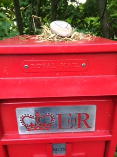 The first #babyjesusrocksspc have found their way to around Crawley Ridge. Hopefully these photos will give you a clue. Watch this space for another clue tomorrow
