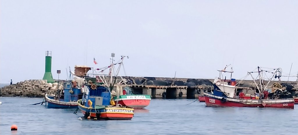 Fondo Fomento Pesca tweet media