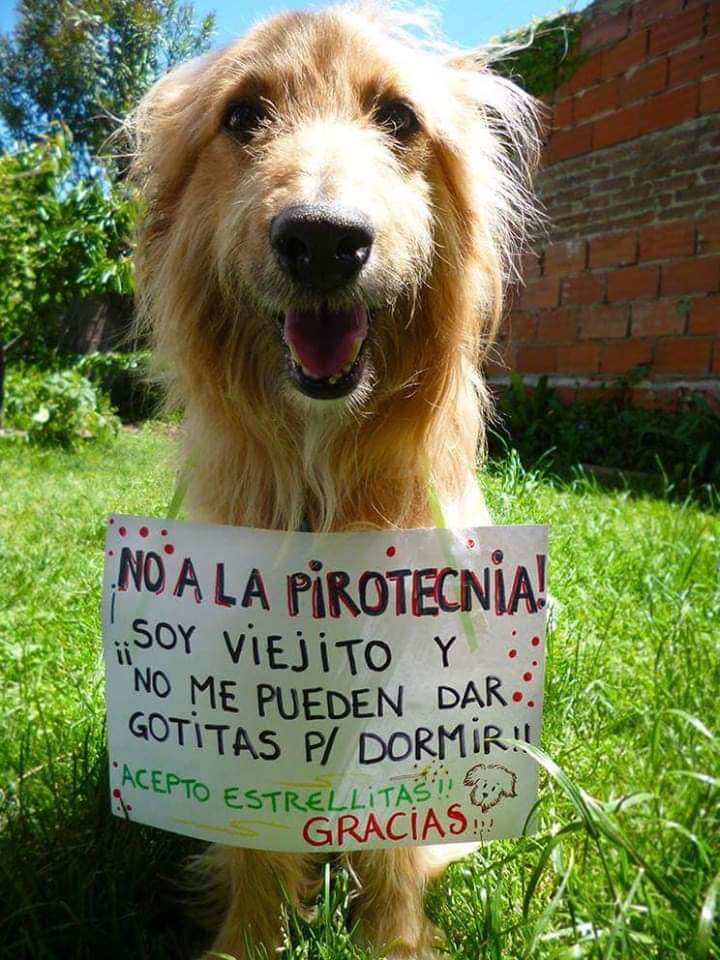 refugioenalerta's tweet photo. ❤️🙏🙏🙏 https://t.co/sjlrHSwhq1