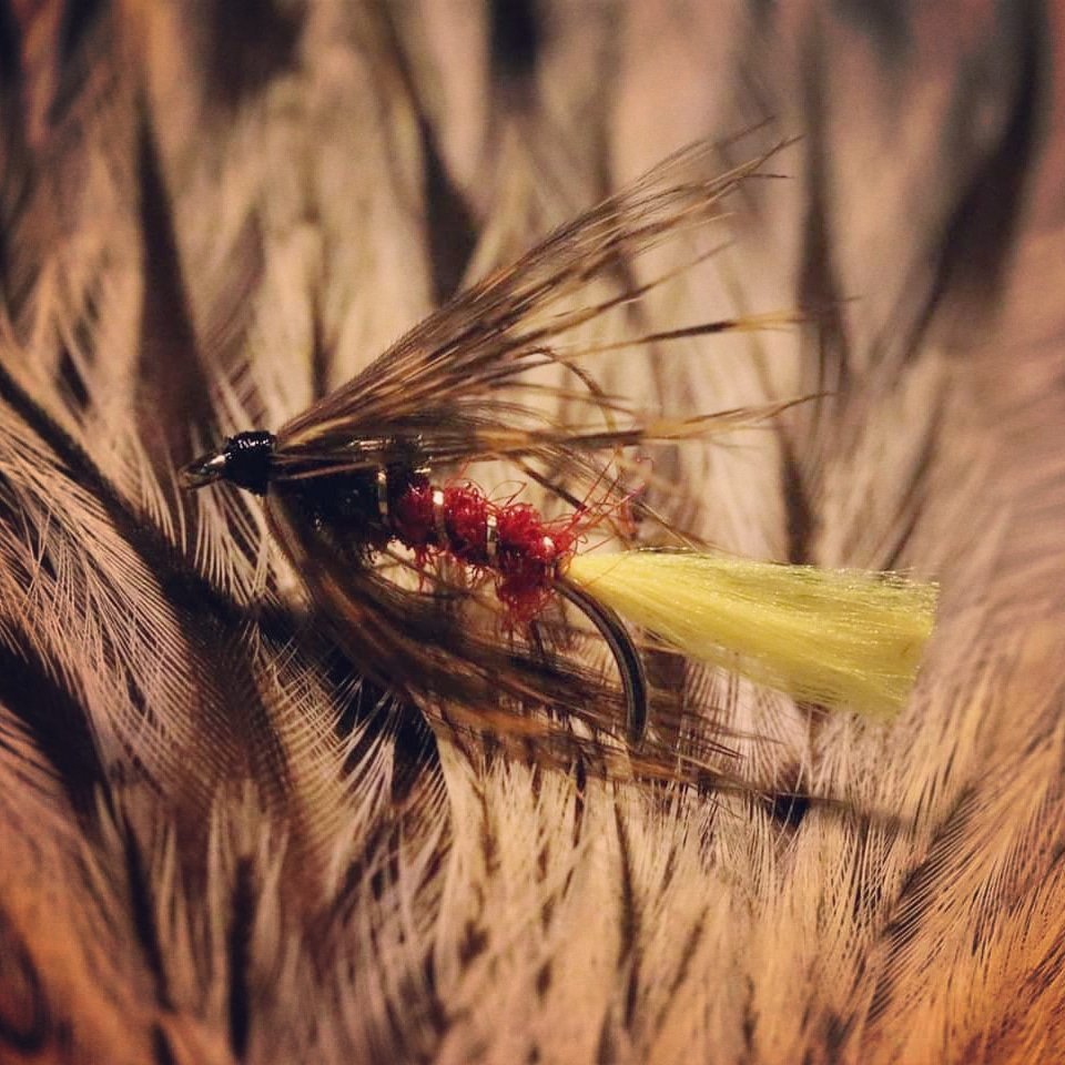 youtu.be/Y_QsFjS3pC8 today's @YouTube tutorial is for Harrold's Grouse and Claret, a great Scottish wetfly for seatrout, salmon and browns #flyfishing #flytying #fishing #wetfly #lochstyle #trout #browntrout #traditionalwetfly #seatrout #loughstyle