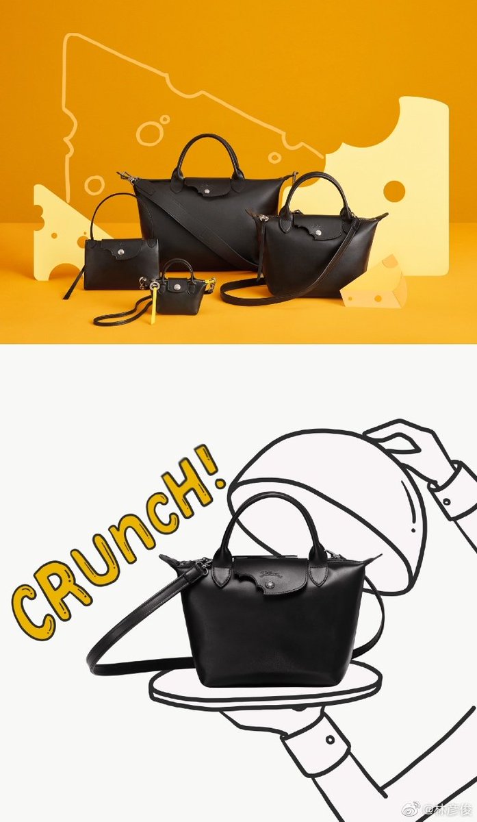 longchamp cheese bag