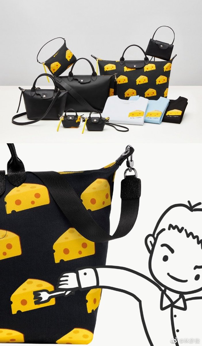 longchamp cheese bag