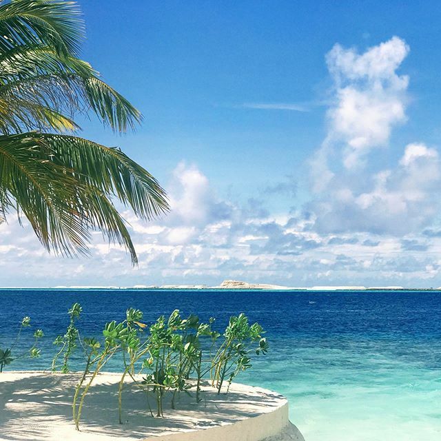 モルジブ Twitter 搜尋 Twitter モルジブ Twitter 搜尋 Twitter