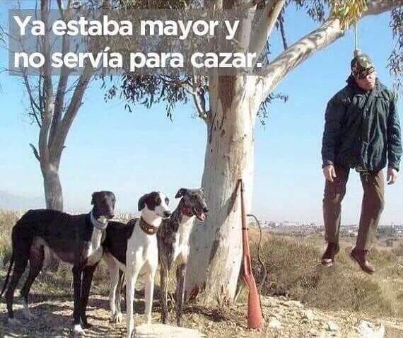 Félix Navajas García tweet media