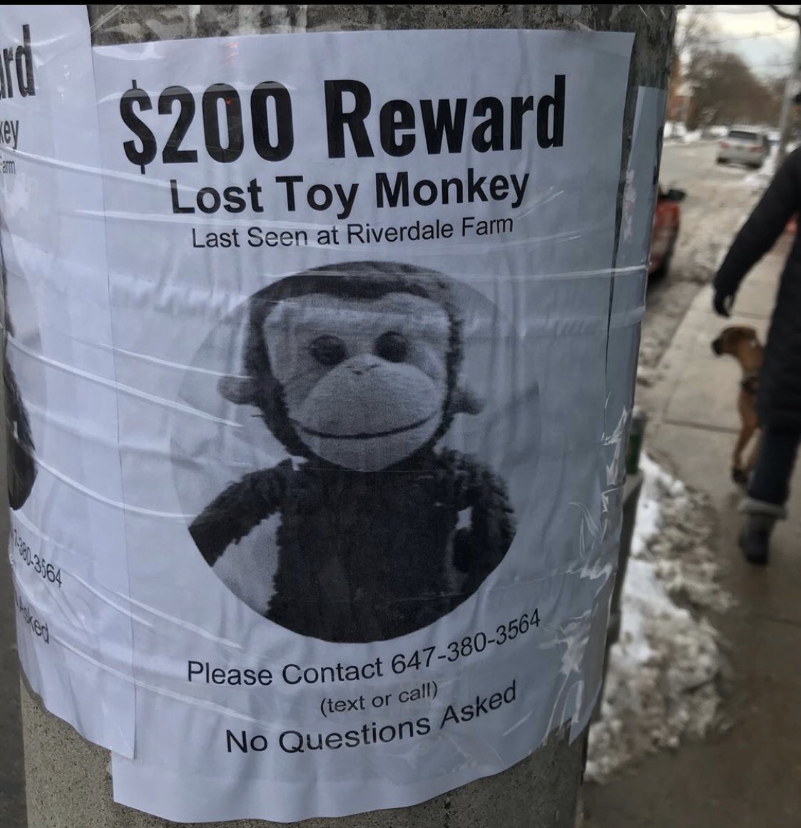 d_phrase's tweet photo. The sights of Cabbagetown ...
#Toronto #LostMonkey https://t.co/Q6GvFUEzrC