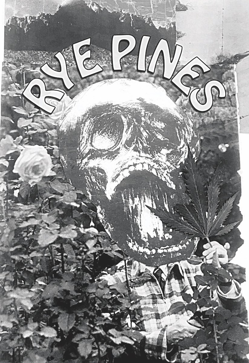 Rye Pines tweet media