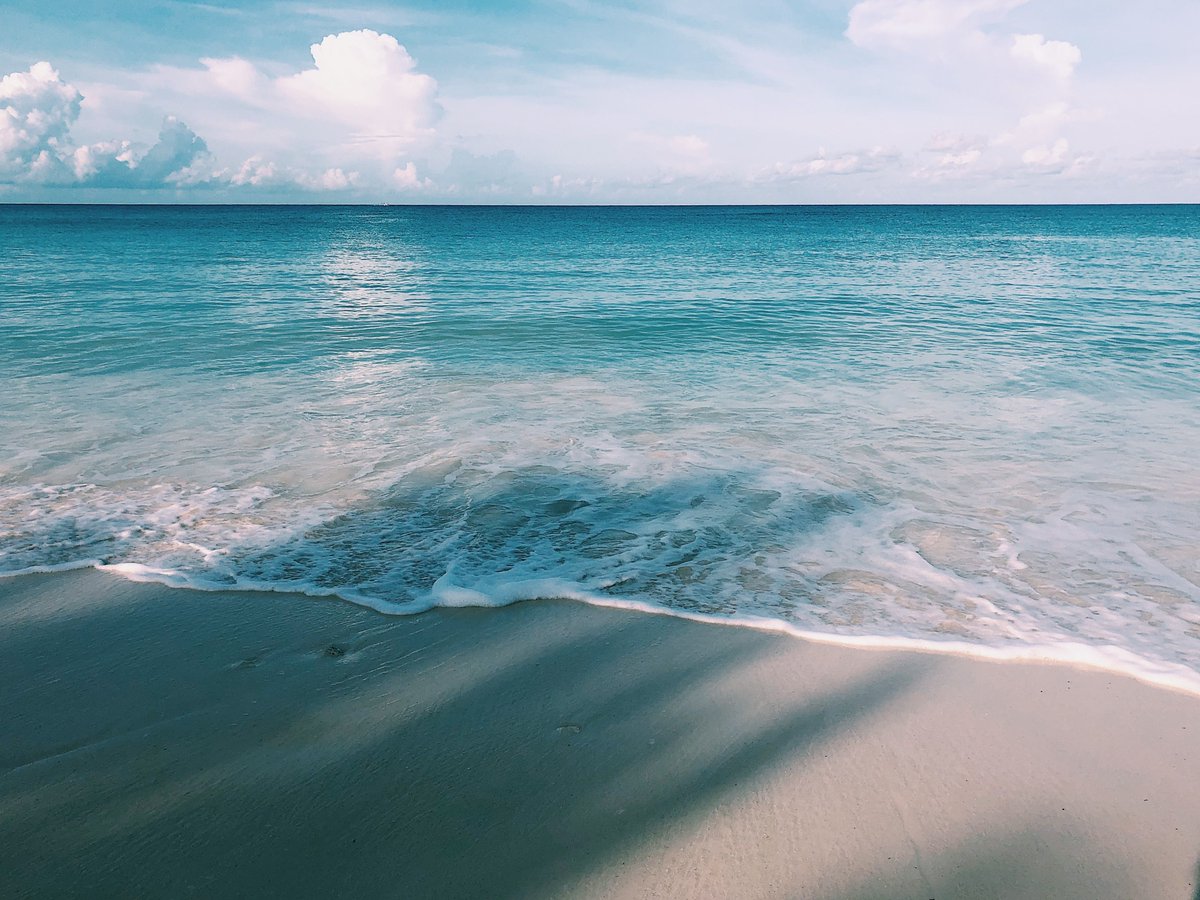 It’s no wonder #SevenMileBeach has been featured as a top #beach to visit. With white sand and crystal-clear water, there are endless activities you can do with the whole family!