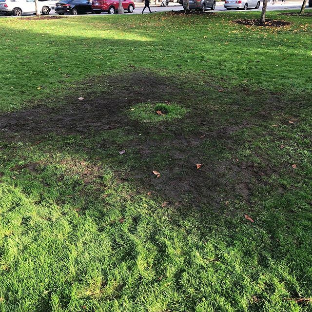 Happy Sunday! ift.tt/2RxQkz3