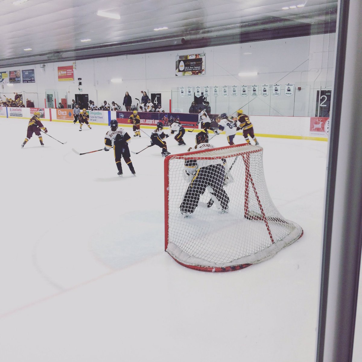 LHEQ_hockey's tweet photo. Volet féminin: bonne chance aux 2 équipes #finaletournoiLaval #peeweeAAA #HarfangsvsRemparts https://t.co/P1fANCSFw1