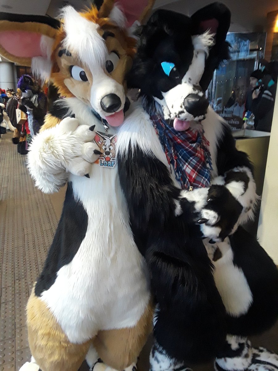 Snibbles/Imani tweet media