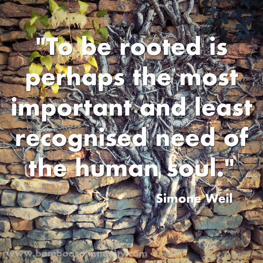bamboo_tweet's tweet photo. Where are your roots? Can you remain agile in the face of life's challenges and opportunities while also being rooted?

#bamboocommunity #weeklyquote #simoneweil #simoneweilquotes #roots #soul #contemplation #reflection https://t.co/KURJD30aL0