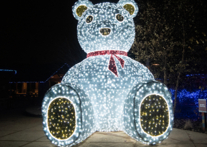 Experience Wild Winter Lights at <a href="/clemetzoo/">Cleveland Metroparks Zoo</a>. This is
their first light display since 2004, so you don't want to miss out!

Click here for details: bit.ly/33l3Ubr