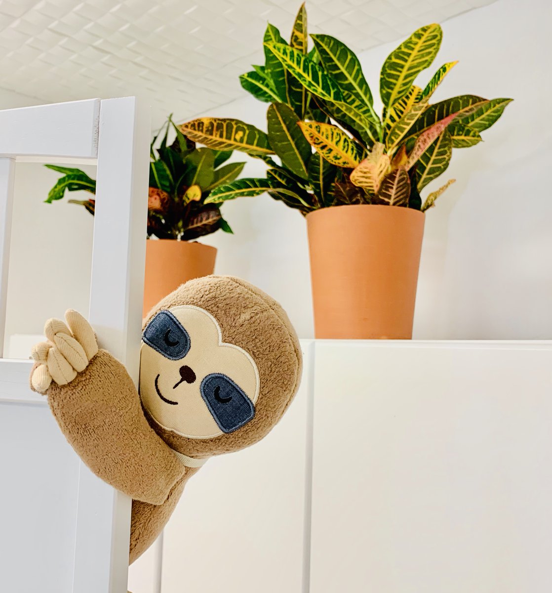 Our little sloth from @appleparkkids hanging out and enjoying the fun. Come see him and his #ecofriendly pals!... 
 #OrganicChristmas #SanDiegoHolidays #ShopSmallSanDiego