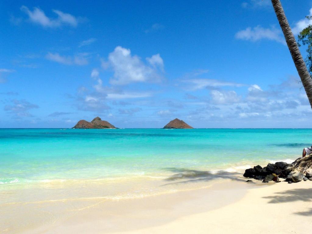 トリップアドバイザー 19 日本人に人気の海外観光スポット 50 34位はラニカイビーチ ハワイ 天国の海の名にふさわしい綺麗なビーチです トリップアドバイザーで見つけた ビーチ ハワイ T Co Te1balsmaz T Co Fspjq23e2u