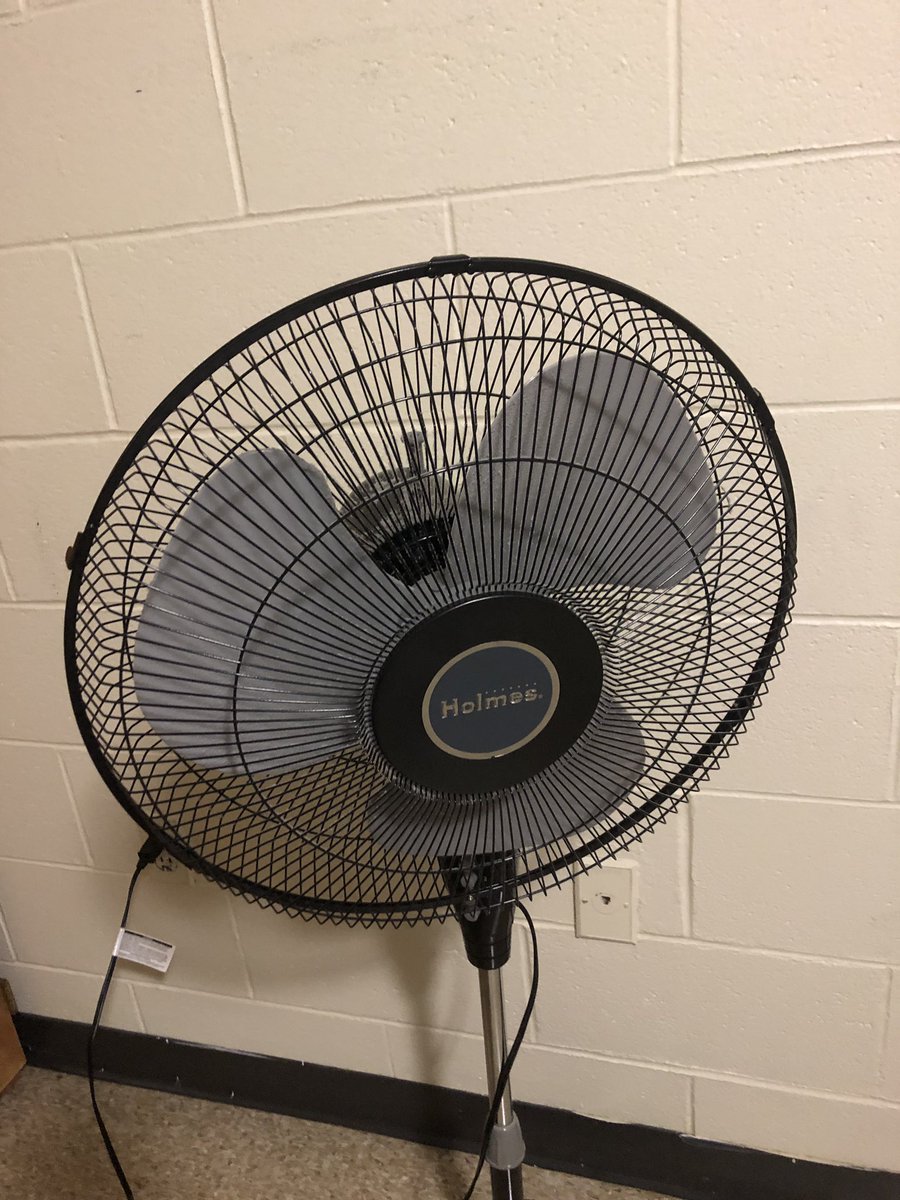 smobilia1's tweet photo. Stole kates fan, can’t believe she didn’t notice! https://t.co/teTiA4UbMi