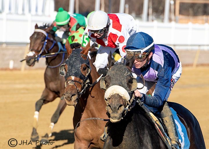 KellyRubley's tweet photo. Pretty Good Year wins an allowance at @LaurelPark! Watch the replay here - https://t.co/t5SrOrtEoq @SheldonRussell1 #laurelpark #prettygoodyear #leadoffstable #kmrracing #marylandjockeyclub
Photo credit: JHA Photo https://t.co/8fg6nbvvkP