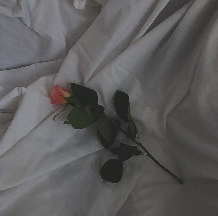 shitorasu_bts's tweet image. ┄┄┄┄┄┄┄┄┄┄┄┄┄┄

               𝒮𝒪  𝒮ℋ𝒪𝒲  ℳℰ…*

✬  03line
✬🐥🐯ペン
✬関東圏内

#armyいいねしてくれた人フォロー #BTS好きな人と猛烈に絡みたくて仕方がないのでBTS好きな人がRTしてくれたらフォローしますのでこれを見たBTS好きな人は是非RT拡散してください