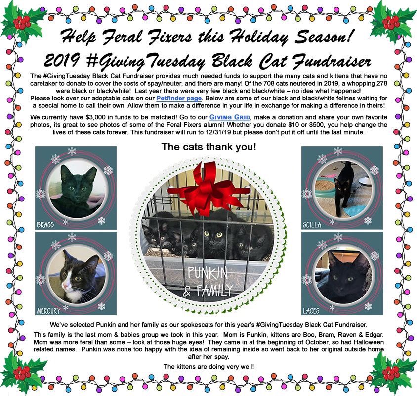 FeralFixers's tweet photo. Our #GivingTuesday Black Cat Fundraiser is in full swing! We have matching funds for our first $3000. Go here: https://t.co/vYSazjtEDd and tap on a square. All proceeds benefit our #TNR mission. Thank mew for your support 🐱#spayandneuter #compassion https://t.co/f6WMn9H227