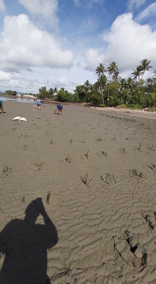 VeilawaR's tweet photo. Tower Insurance team planting 2,000 mangroves at Lami foreshore. PC-Jashvir Bir. #climateresilience #towerinsurance https://t.co/wKnpmbuRkW