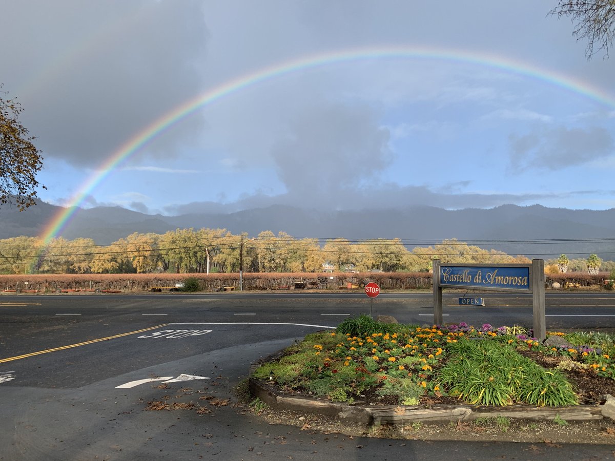 #WineandRainbows We are getting some vibrant rainbows and even double rainbows today after the rains the last few days, Took this picture at the #castlewinery this morning. Enjoy 😊 

#thecastello 🍷 #thenapareport 🚗 #thenapareportridesharelife #napa #napavalley #NapaWine
