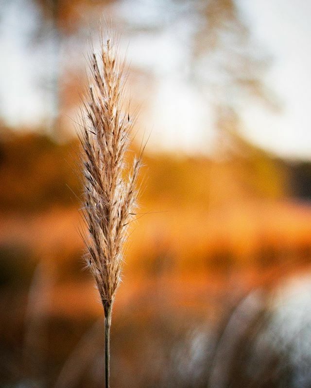 Carson Riutta tweet media