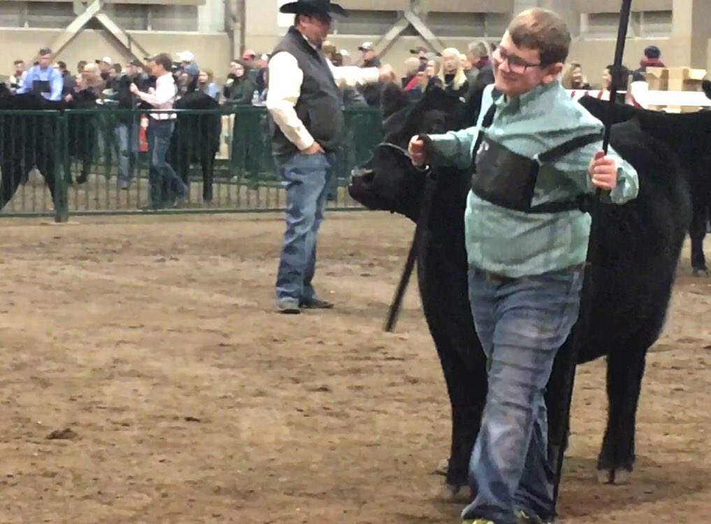 Bolingda's tweet photo. Sure it’s great the heifer we bred won her class, but it was the joy on this guy’s face that really made my day.  Well done, Landon!  ⁦@kurtmarvel⁩ https://t.co/ujPRH0Z3zj
