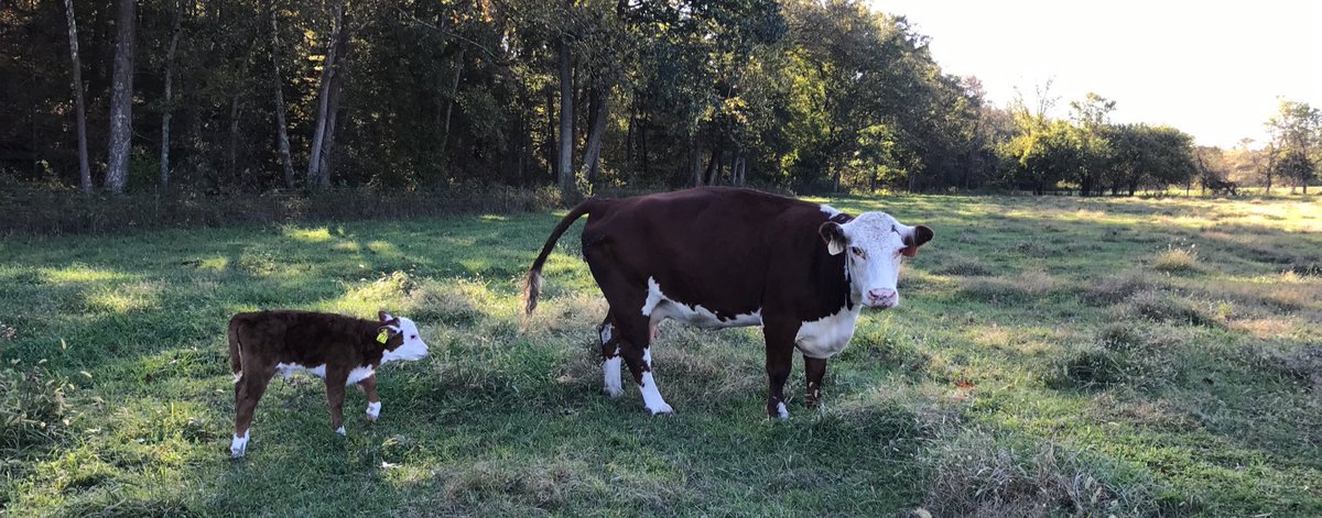 Jessica Craig tweet media