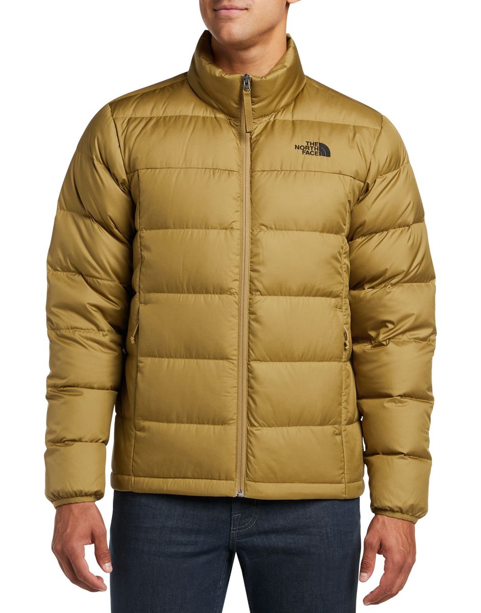 north face men's alpz down jacket