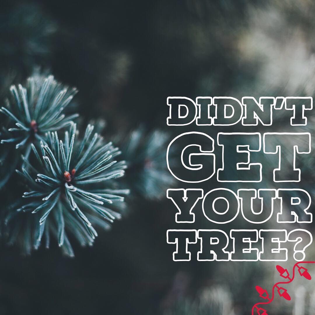 MHTreeFarm's tweet image. Didn’t have the chance to come see us these past couple weeks? We are offering limited appointments leading up until Christmas to come cut down your tree! Call us at 403 529 5684! #medicinehatbusiness #supportlocalbusiness #supportsmallbusiness #medhat #medicinehat #treefarm
