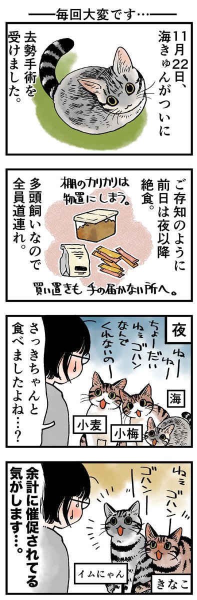 「毎回大変です…」
何度も経験してるんですけどやっぱり緊張します～(汗)
(山野りんりんさんの「猫まみれライフ」)他1話です。⇒( 