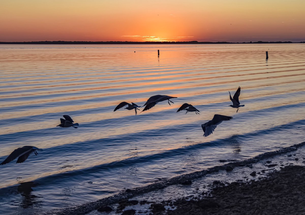 FloridianCreat1's tweet photo. Tonight’s Floridian Sunset ✌🏼🌞✌🏼 @StormHour @RealSaltLife @ThePhotoHour @DunedinBeach   🖖🏼🌞🖖🏼 https://t.co/SCPfwQOwgz