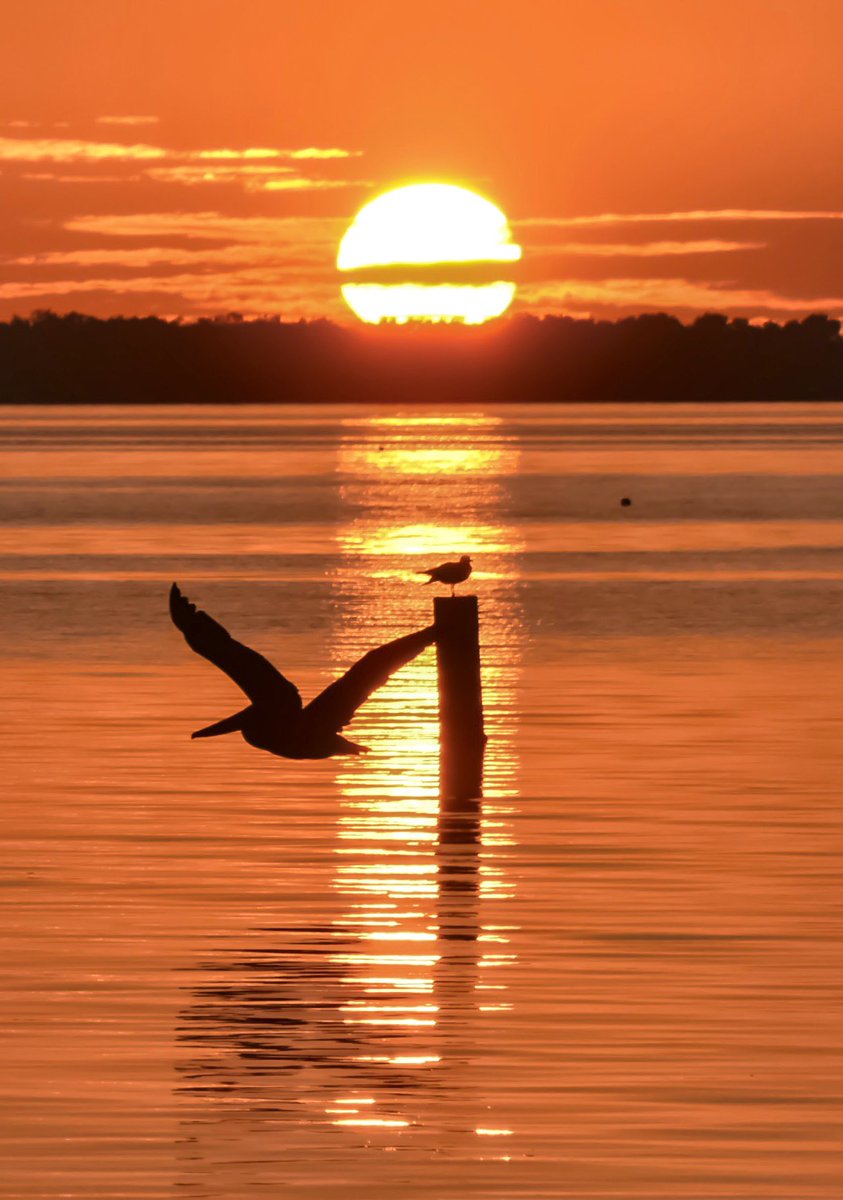 FloridianCreat1's tweet photo. Tonight’s Floridian Sunset ✌🏼🌞✌🏼 @StormHour @RealSaltLife @ThePhotoHour @DunedinBeach   🖖🏼🌞🖖🏼 https://t.co/SCPfwQOwgz