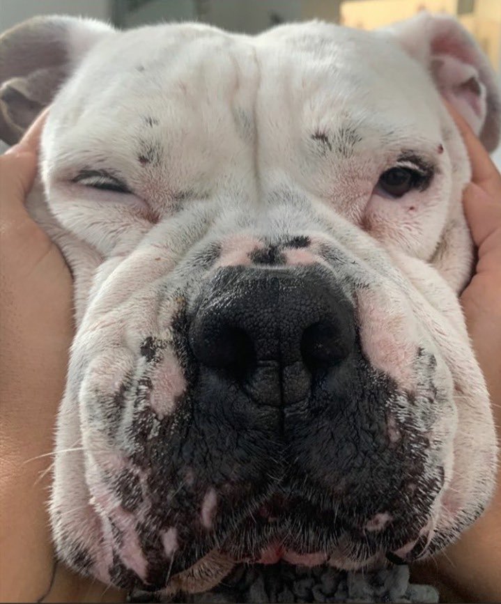 GreerWintern's tweet photo. IMPORTANT- look at the squish @Chaz_Parker_ https://t.co/IE61zgEYIv