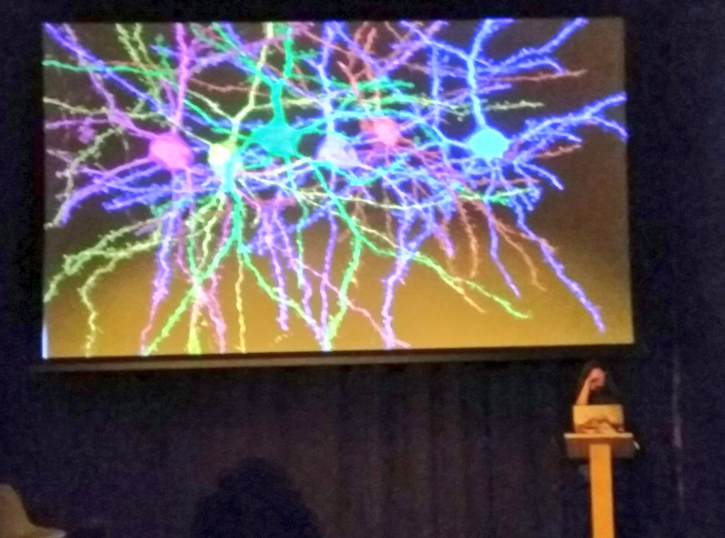 Drew Stone tweet media