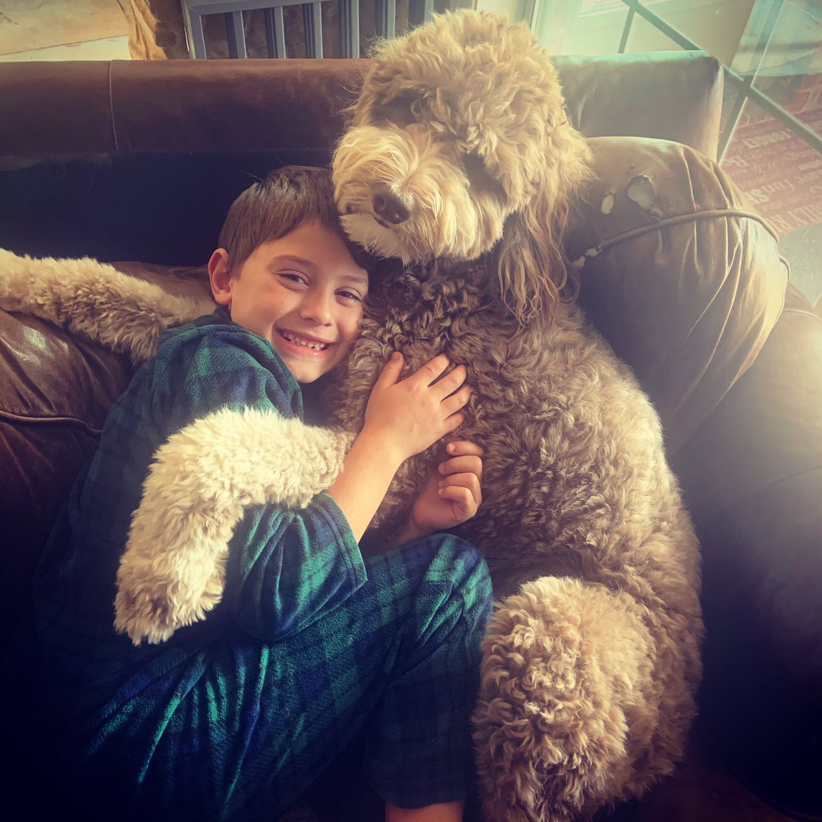 BrookeJackson04's tweet photo. My two babies! Love them to pieces!!!❤️ https://t.co/s6qY4FyRLd