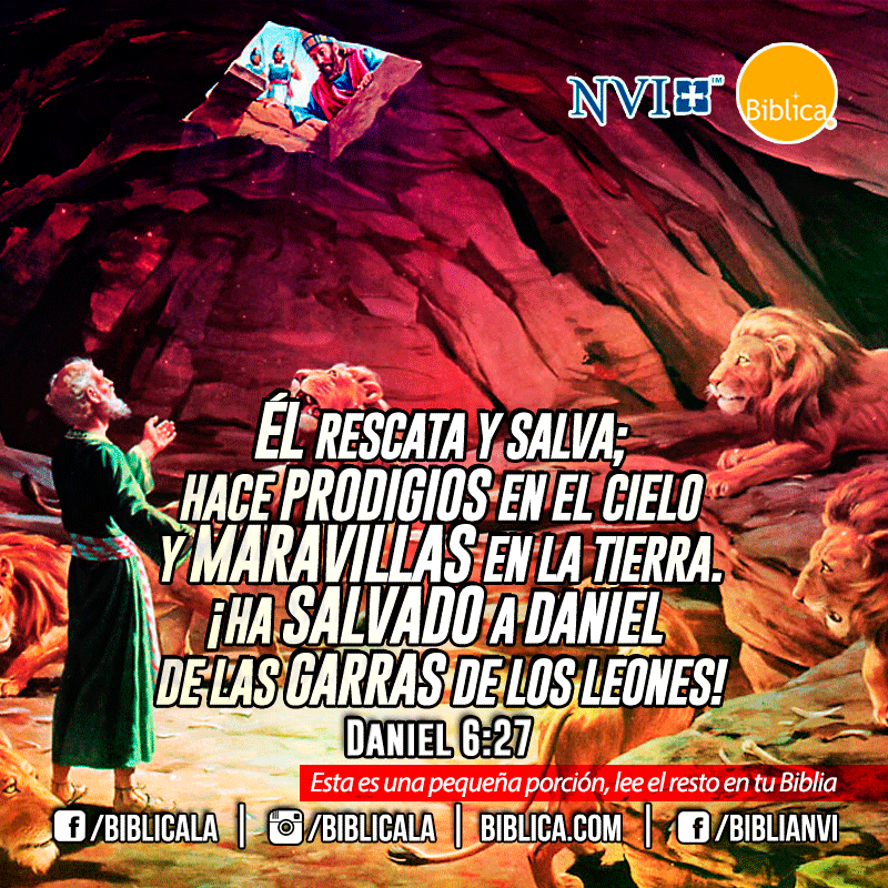OyM_dtD's tweet photo. 📥
📥
📥
#Contenido_🔎
#AT_📜
📜La escritura en la pared.
📜Daniel en el foso de los🦁🦁🦁
📜Las cuatro bestias.
✍️#ProfetaDaniel 5-7
🖼️6:26-27
⬆️A.C.⬅️✝️🛐➡️D.C.⤵️
#NT_📃
📃El anciano, a la iglesia elegida y a sus miembros,
a quienes amo en #LaVerdad
✍️#MensajeJuan 2📃1:3 https://t.co/2cHst3q3ap