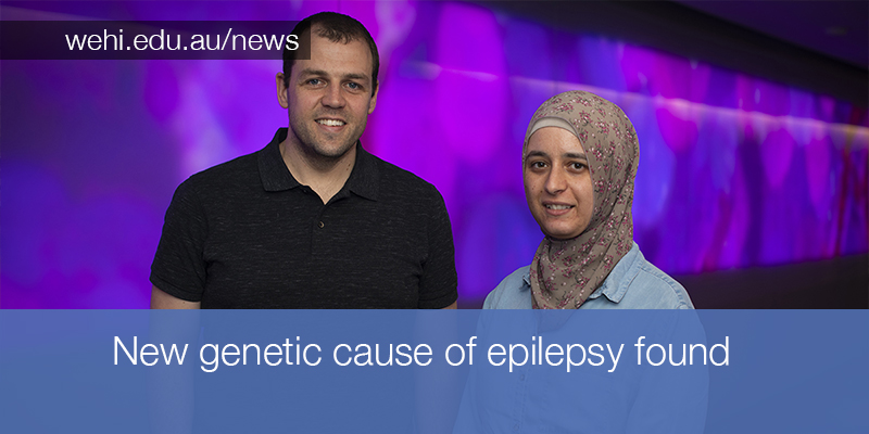 Specialised tools developed by our bioinformaticians to hunt for hard-to-detect ‘repeat expansions’ in DNA have helped to identify the genetic cause of a rare epilepsy, as part of an international effort <a href="/NatureComms/">Nature Communications</a> <a href="/HaloomRafehi/">Haloom Rafehi</a> <a href="/mf_bennett/">Mark Bennett</a> <a href="/MelanieBahlo/">Melanie Bahlo</a>
wehi.edu.au/news/new-genet…