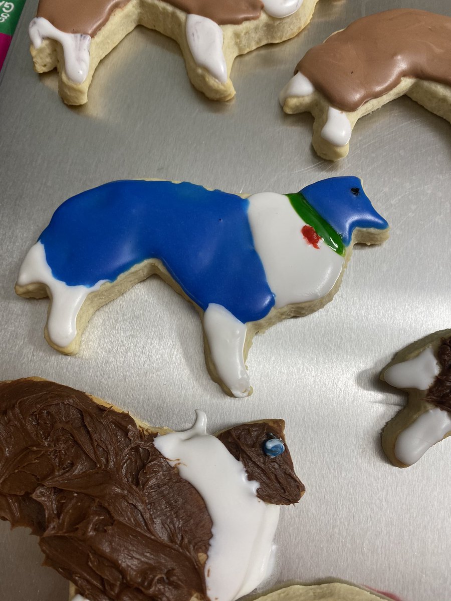 PoohBearSheltie's tweet photo. The hoomans made Christmas cookies tonight and they even made #AngelPoohBear ones. 💙 https://t.co/anQYHXeZpi
