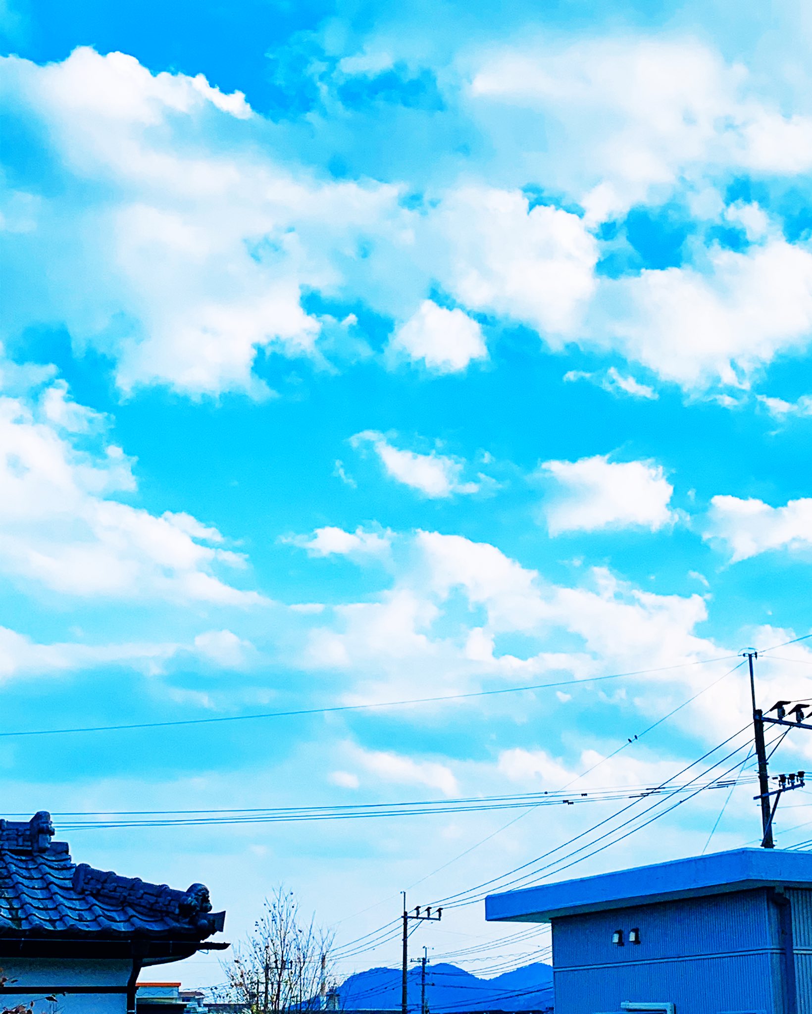 تويتر りお على تويتر 空 綺麗な水色 絵に描いたような雲 今日は少しあったかぃよ あと少しお仕事頑張ろ 空 イマソラ 青空 水色 綺麗 雲 絵 写真 あったかい Sky Bluesky Beautiful Cloud T Co N6woqsn1v8