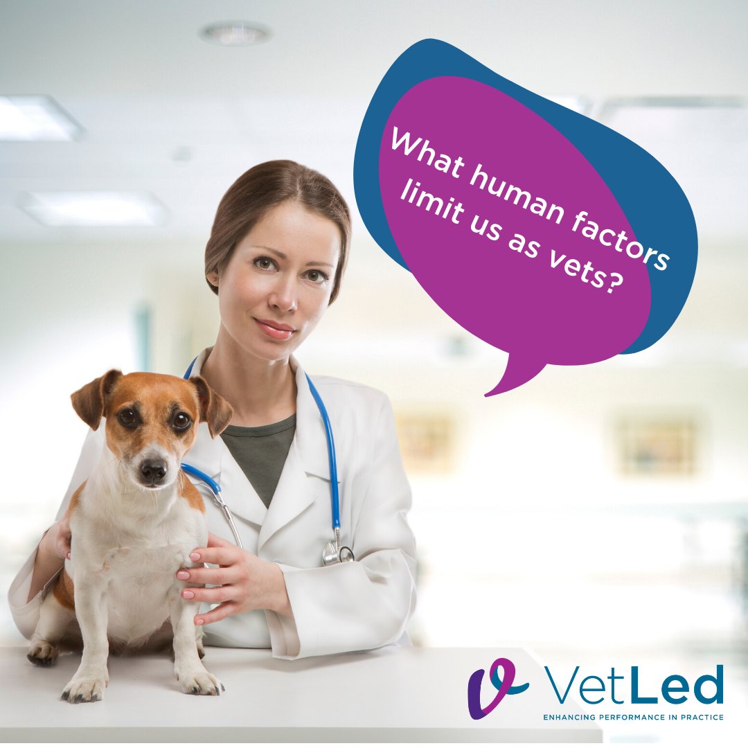 vetledteam's tweet photo. What affects your #PerformanceInPractice?  

Tiredness, busy-ness, workplace hierarchies...all human factors that limit our clinical performance and ability to deliver best patient care.

Find out more about veterinary human factors on our website at https://t.co/Uohb5tGXou https://t.co/1NKOkDGQtt