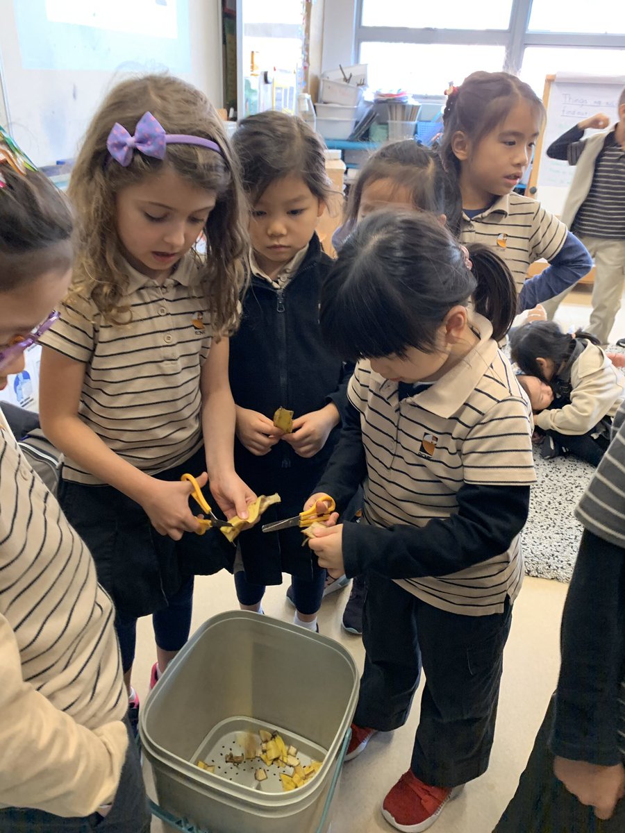 2twrchk's tweet photo. Making Bokashi compost with Mr Paul today #rchkpyp https://t.co/5ruyQfRayL