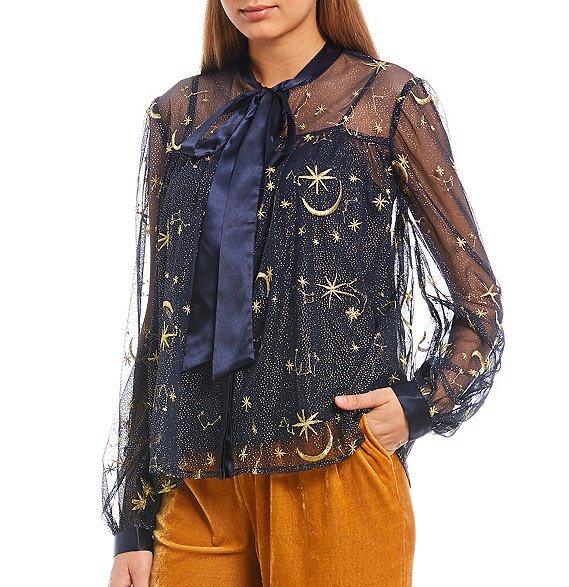 sheer tie neck blouse