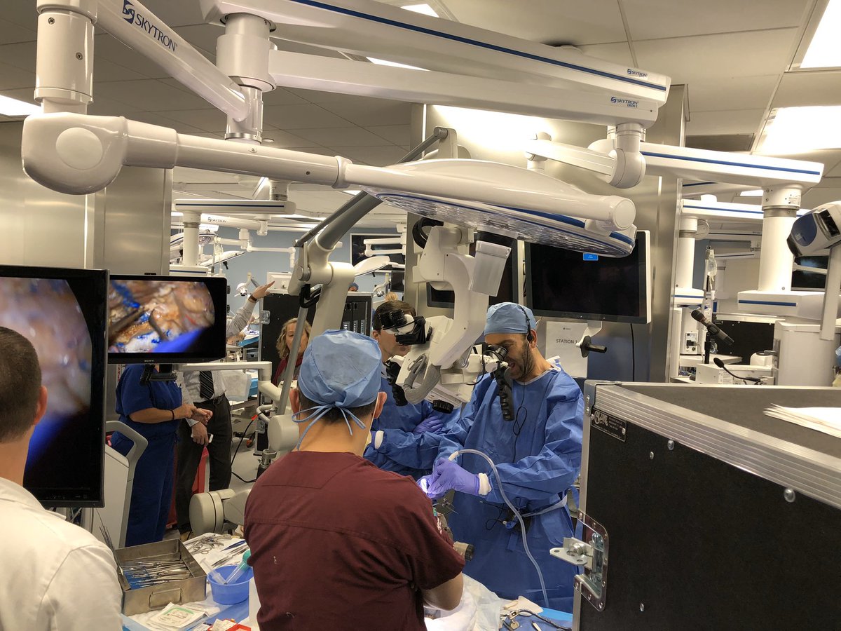 NASBSorg's tweet photo. #NASBS2020 Are you interested in brushing up on minimally invasive skull base approaches? Register for the Pre-Meeting Dissection Course here: https://t.co/rf2p2c3j3K #nsgy #ent #education #skullbasics https://t.co/dZ0TC0Vqan
