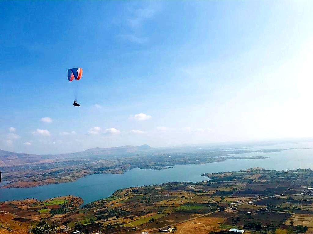 Templepilots tweet media