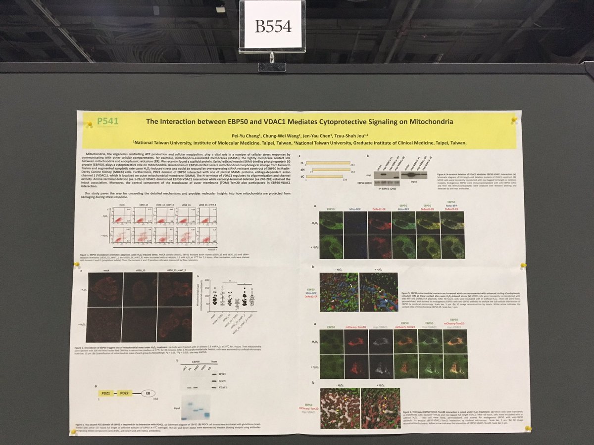 pppzoe's tweet photo. Attending ASCB for the very first time!!! 😆
#ASCBEMBO2019 #ascb2019 
#ASCBEMBO19 https://t.co/WCKYIXaoqJ