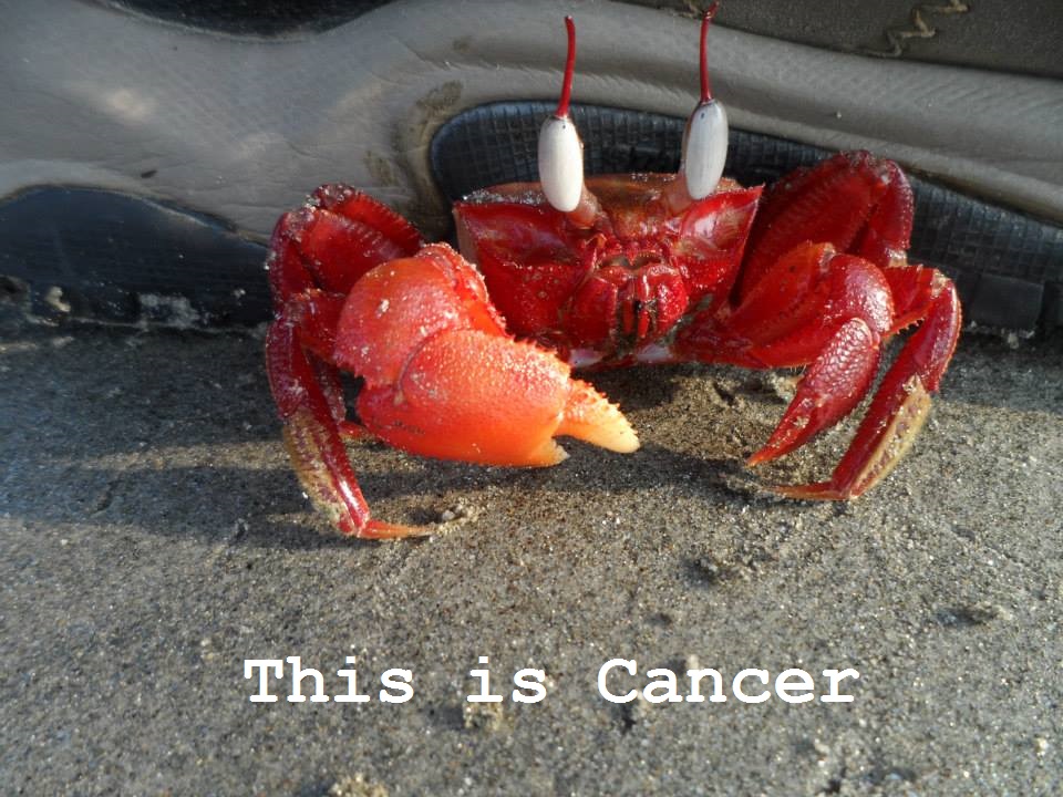 Robert Fisher tweet media