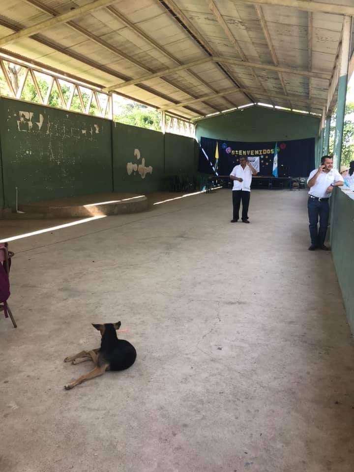 Rotary District 5550's Ripple Effect Program tweet media