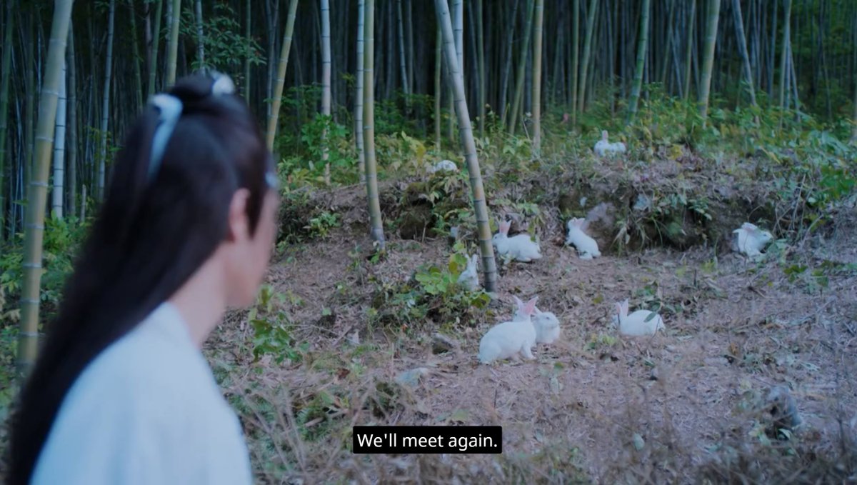 IM LOSING IT TWICE NOBODY ON THIS SHOW KNOWS HOW TO INTERACT WITH RABBITS