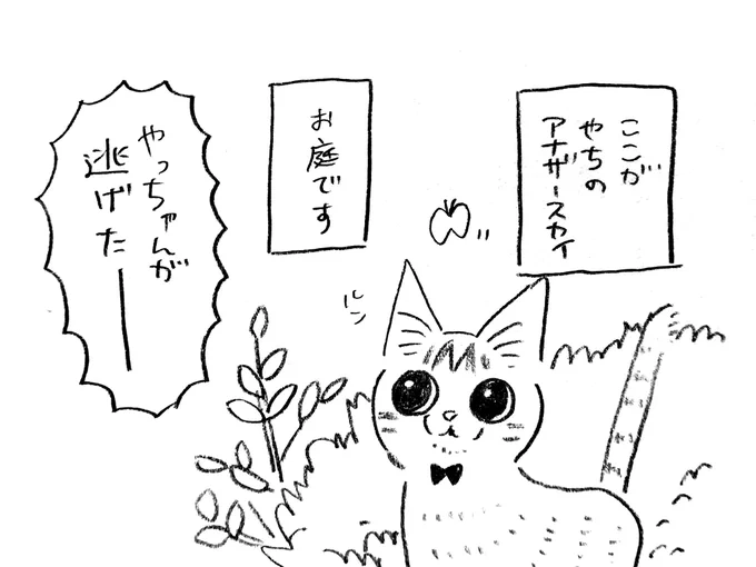 やっちゃんのアナザースカイ 