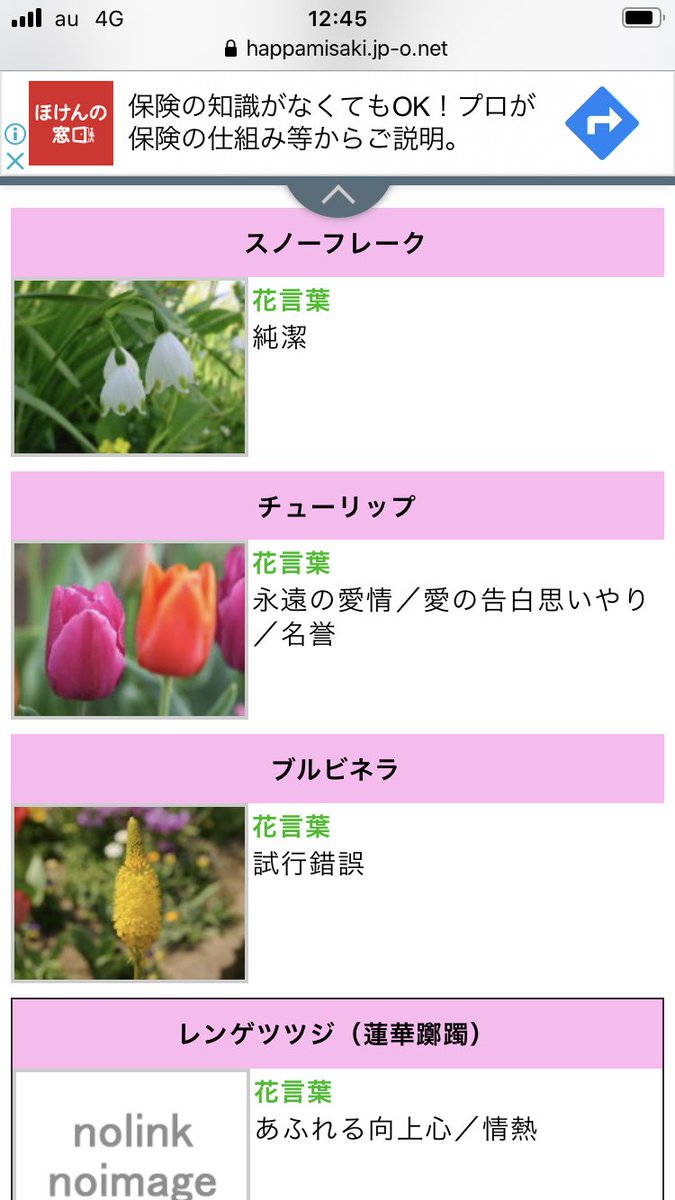 潮音 ドールズシンドローム エブリスタにて連載中 フォロワー誕生花教えて 後私のidにもなってるグローリーリリー 狐百合 もそうです